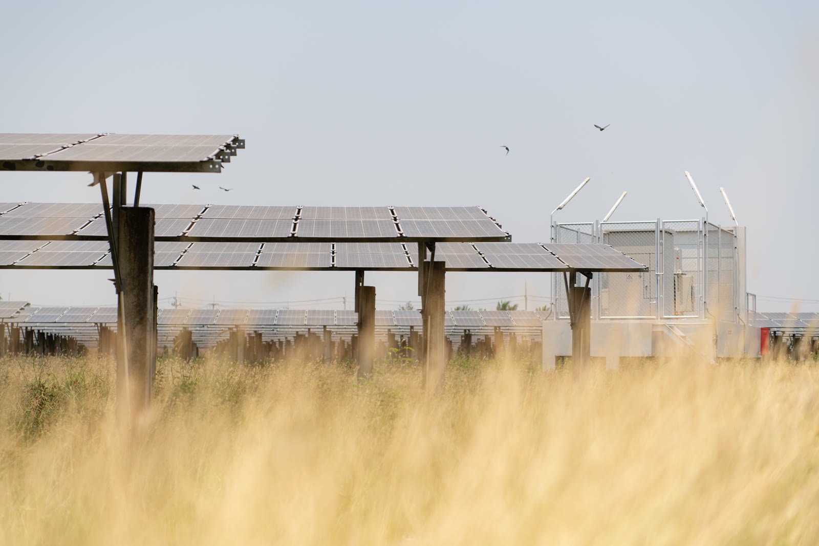 A utility-scale solar field at dusk